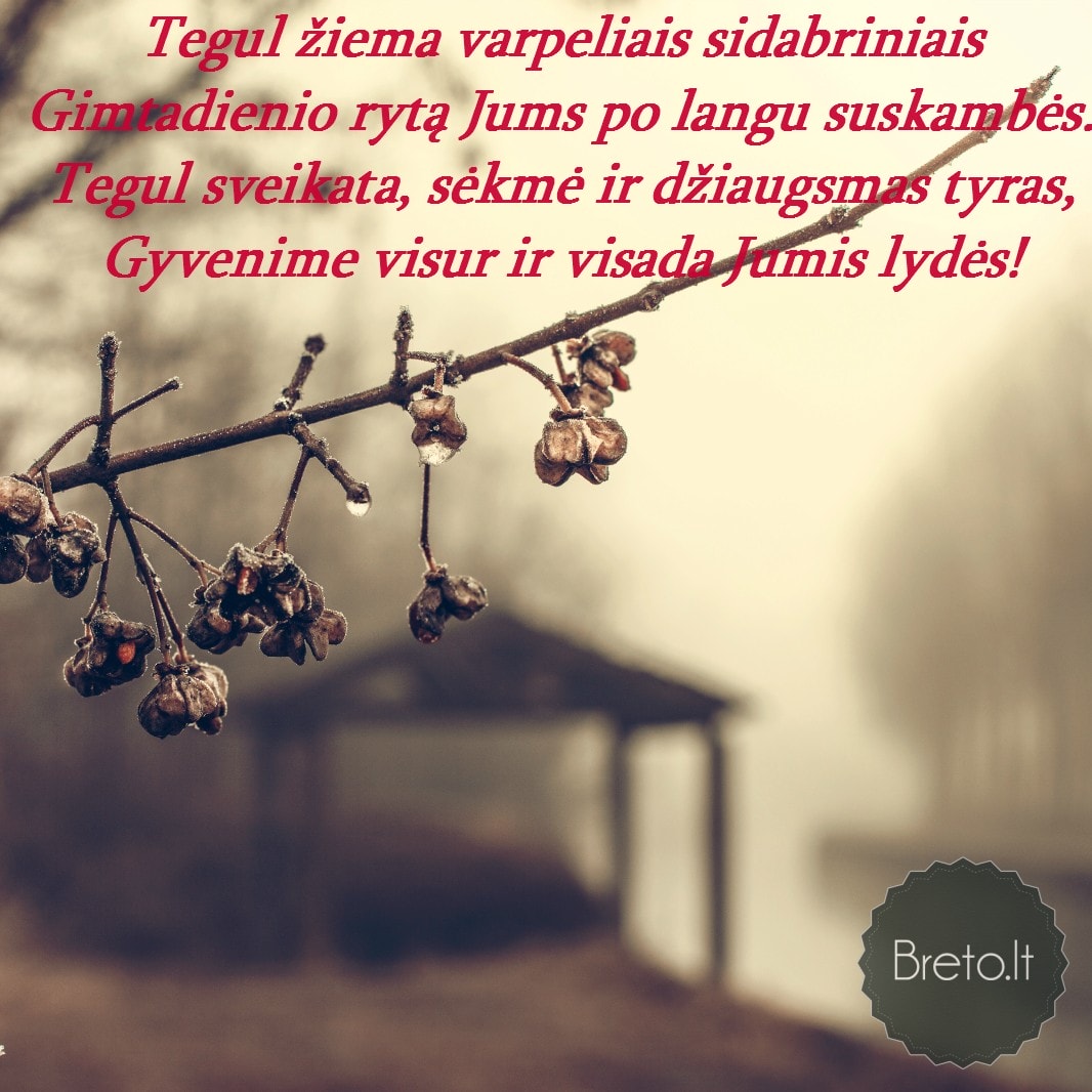 Matyt Sugriuvo Uzduses Gimtadienio Sveikinimai Tetai Loverslobbieslounges Com Matyt Sugriuvo Uzduses Gimtadienio Sveikinimai Tetai Loverslobbieslounges Com