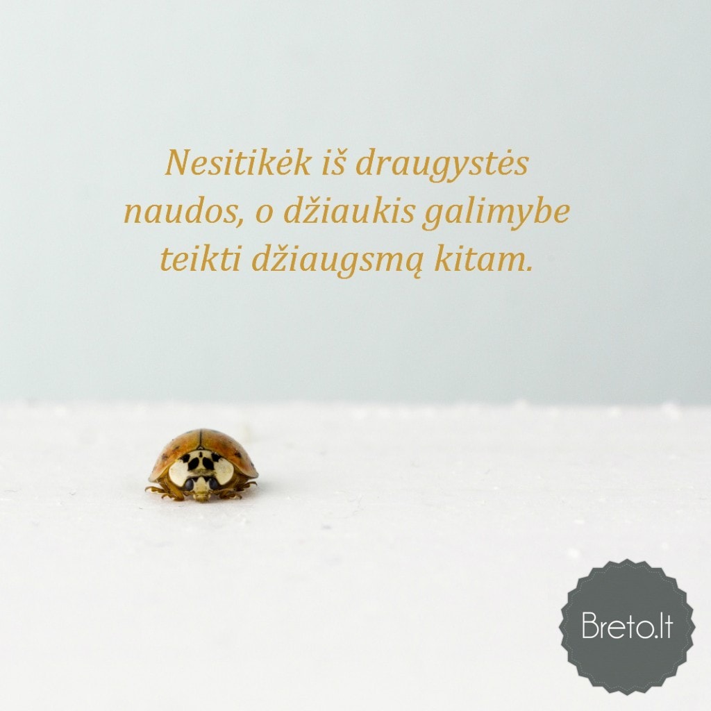 Grazus zodziai draugui