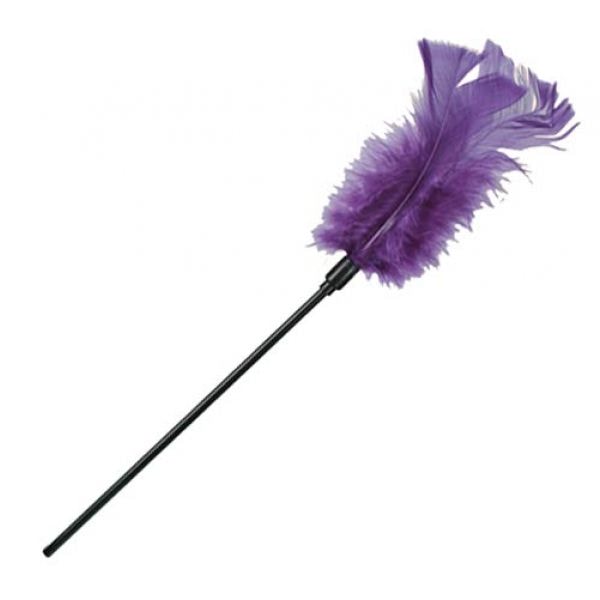 Svelni-plunksna-violetine Svelni-plunksna-violetine