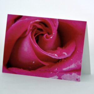 rozine roze