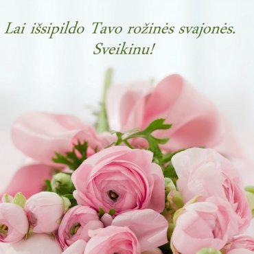 vartotojo įkelta nuotrauka