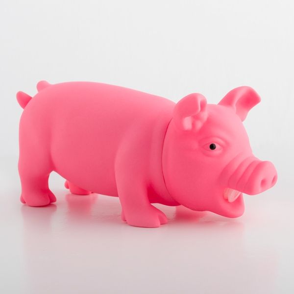 kriuksintis parselis