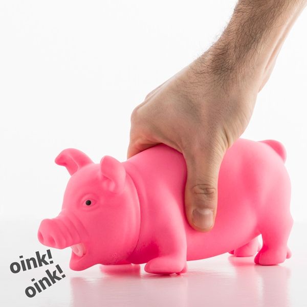 parselis su garsu Paršelis su garsu