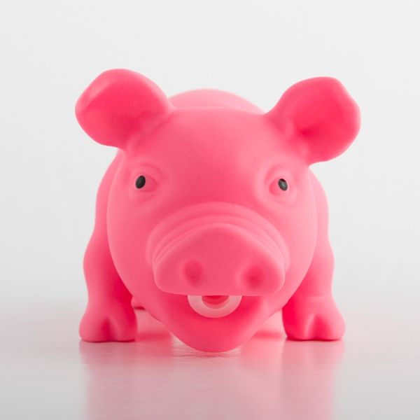 rozinis parselis Rožinis paršelis