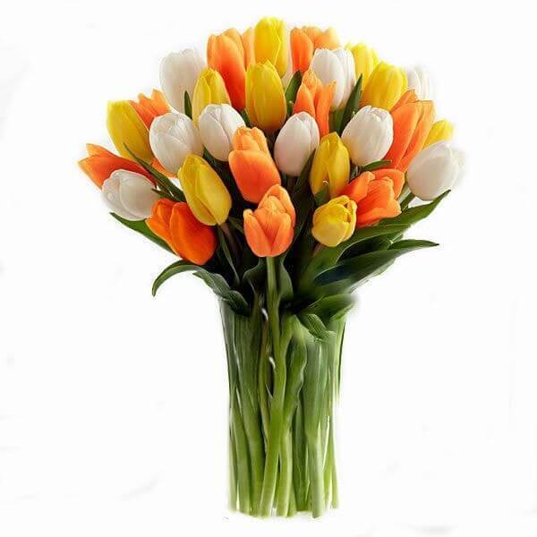 Tulpės „Spindulys“ gėlės puokštėse