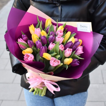 Rožinės, Violetinės ir geltonos tulpės puokštėje pavasario gėlės