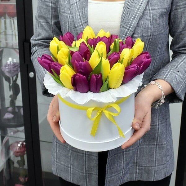 Geltonos ir violetinės tulpės dėžutėje