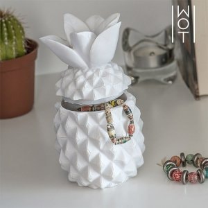 Dekoratyvinis ananasas