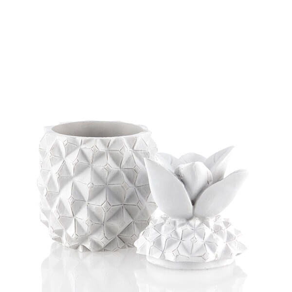 Dekoratyvinis ananasas