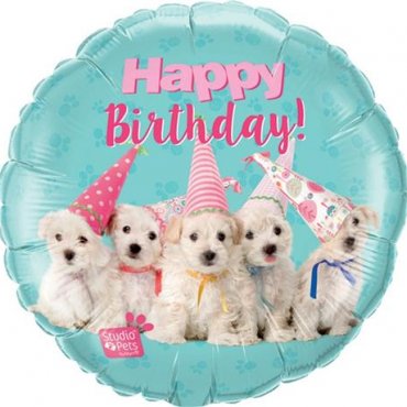 Gimtadienio dovana folinis helio balionas gimtadienio šuniukai