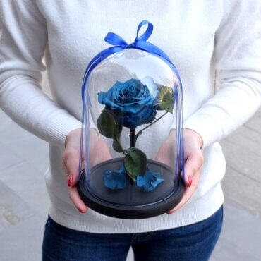 Vidutinė mėlyna stabilizuota rožė po stiklu