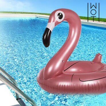 Dovaos draugei pripuciamas ratas Flamingas