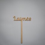 Medinis smeigtukas „Laimės“