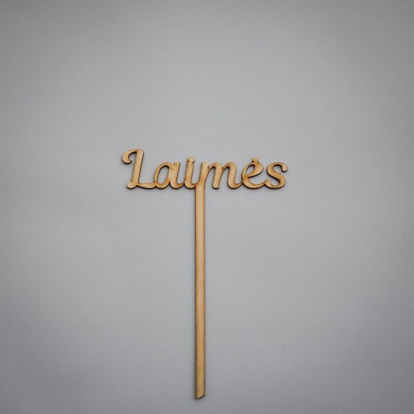 Medinis smeigtukas „Laimės“
