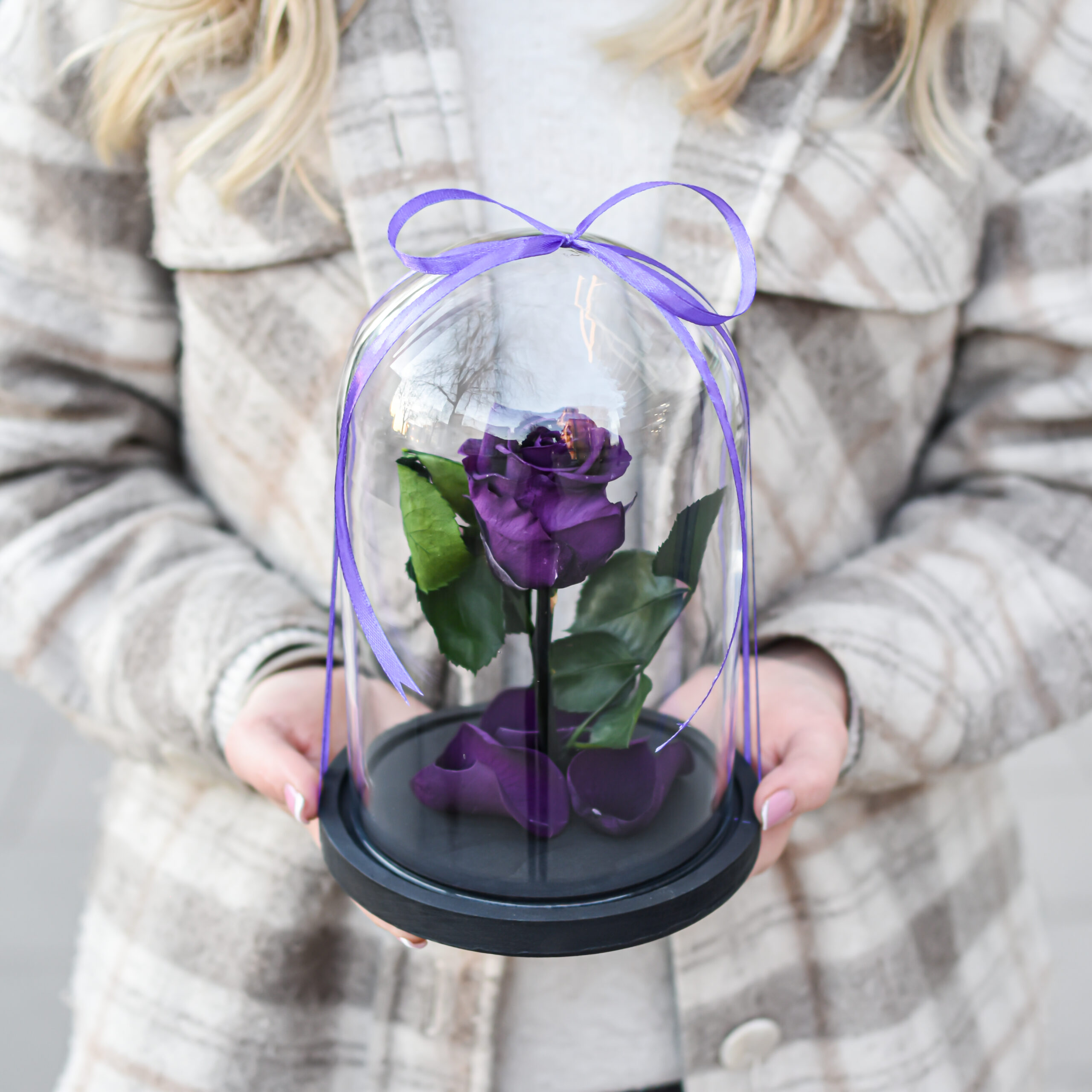 stabilizuotos rozes po stiklu maza violetines spalvos Maža violetinė stabilizuota rožė po stiklu