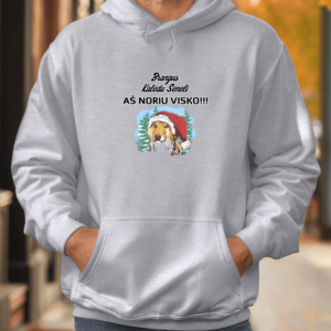 Unisex džemperis su spauda „Laiškas Kalėdų seneliui“